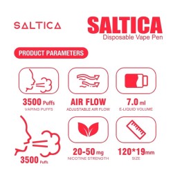 Saltica Energy Ice Disposable Vape Pen