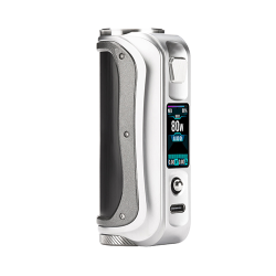 SX Mini SL Class V2 100W - Black Silver