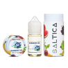 Saltica Blueberry Ice Salt Likit - 30 ML - 50 MG