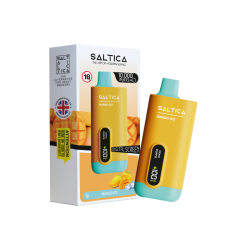 Saltica Ekranlı 10000 Mango Ice Disposable Vape Bar