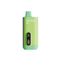 Saltica Ekranlı 10000 Mint Disposable Vape Bar