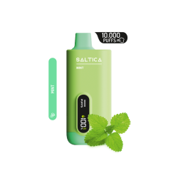 Saltica Ekranlı 10000 Mint Disposable Vape Bar