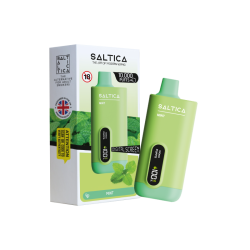 Saltica Ekranlı 10000 Mint Disposable Vape Bar