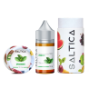 Saltica Spearmint Salt Likit - 30 ML - 50 MG