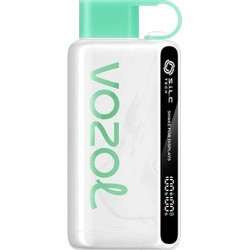 Vozol Star 12000 Cool Mint Disposable Vape Bar