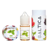 Saltica Mint Likit - 30 ML - 35 MG