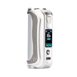 SX Mini SL Class V2 100W - Holy Silver